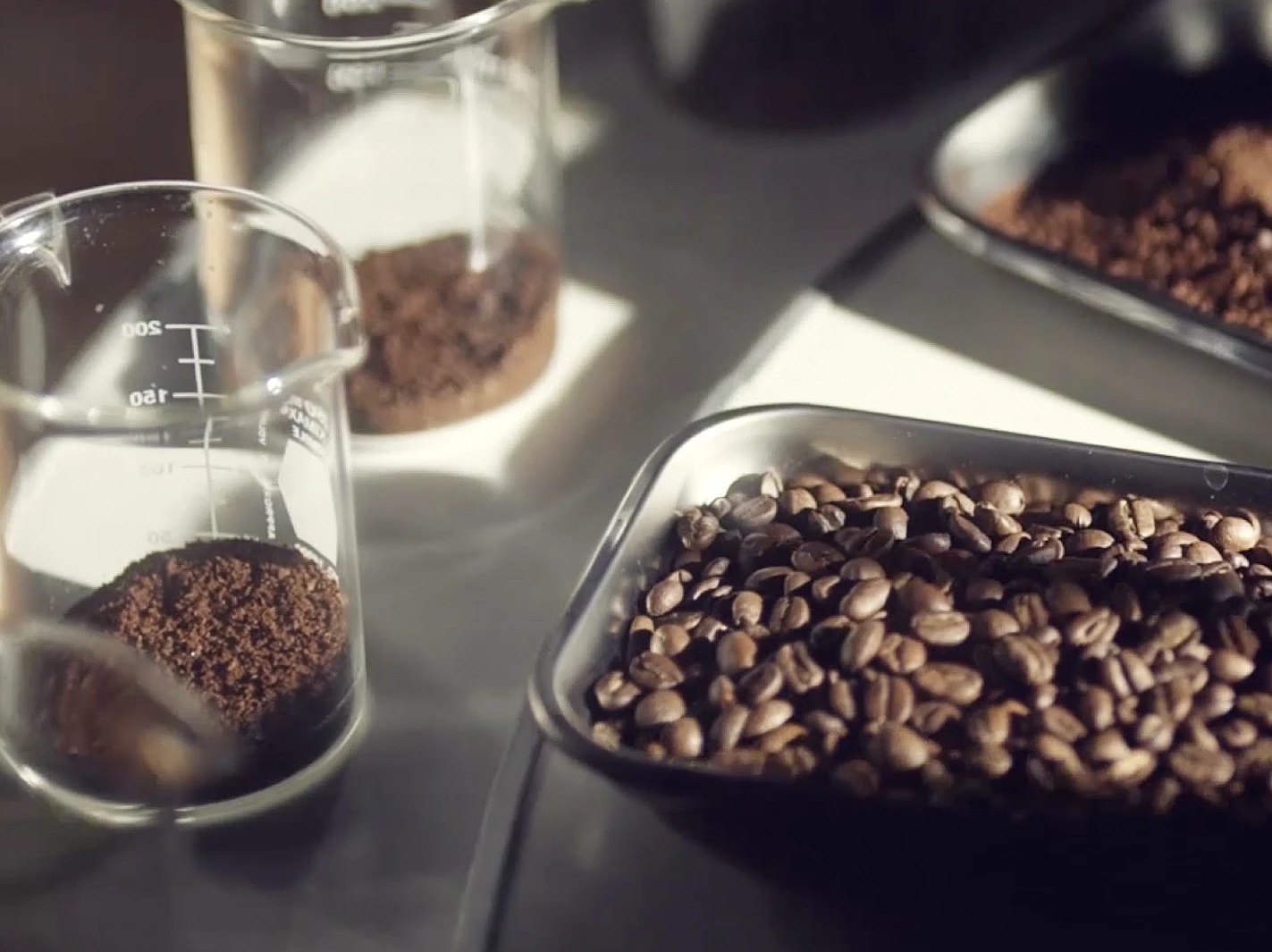 Café en laboratorio de calidad