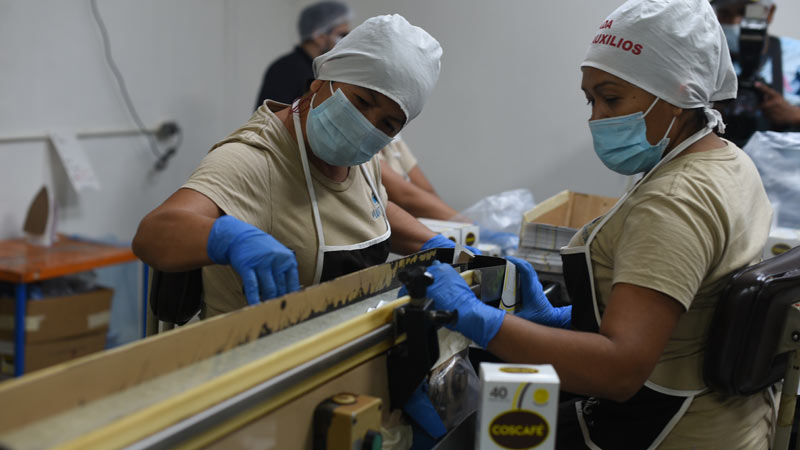 Colaboradoras en Produccion Plantosa